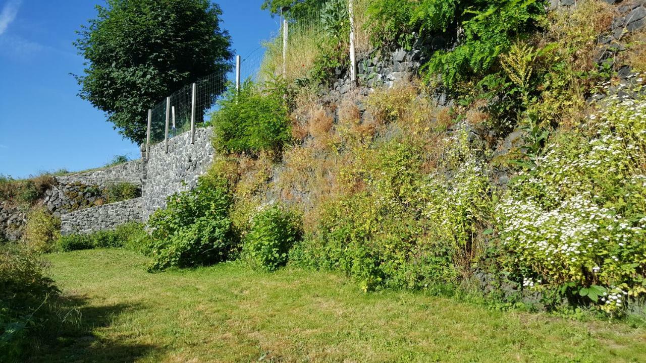 Bed and Breakfast Relais Des Castors Murat  Exterior foto